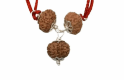 Ekadash Rudra Kavach