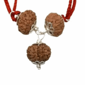 Ekadash Rudra Kavach