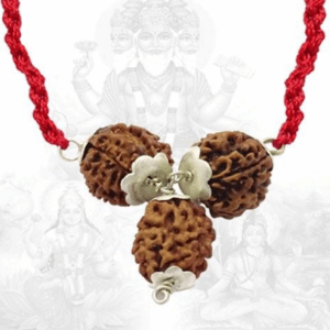 Kaal Sarp Dosh Nivaran Kavach